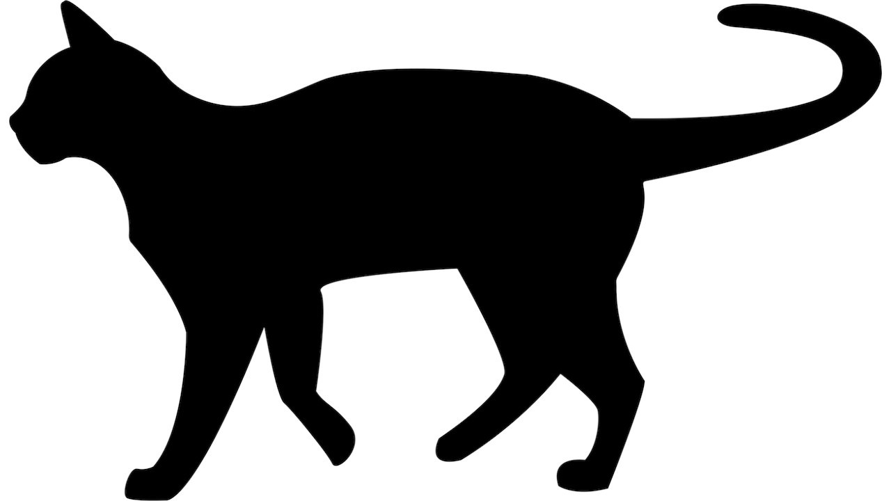 François-Marie Luzel - Die schwarze Katze (1887)
