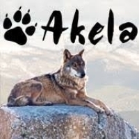 Akelas Avatar