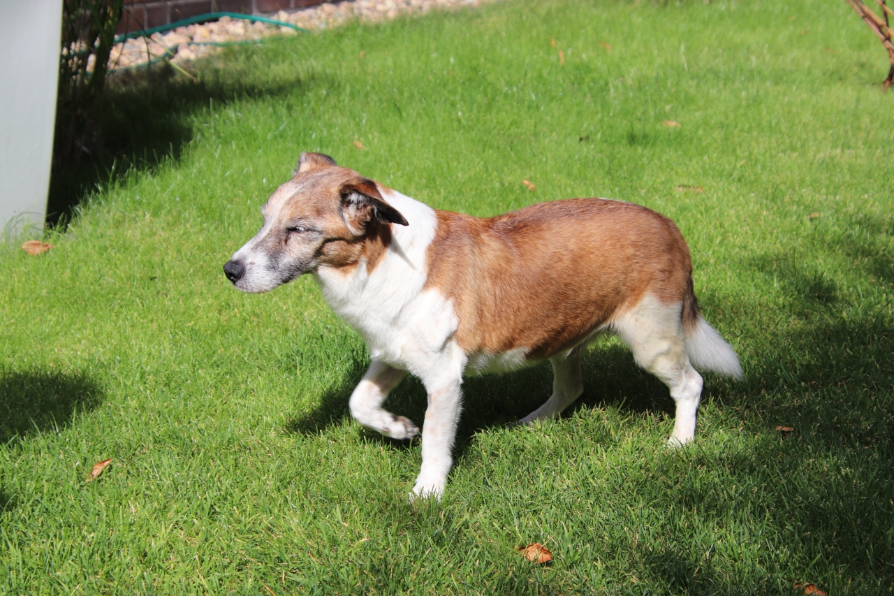 Tierische Modelle ,) 16.09.2025